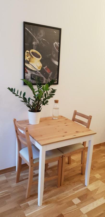 Apartment Lenartowicza クラクフ エクステリア 写真