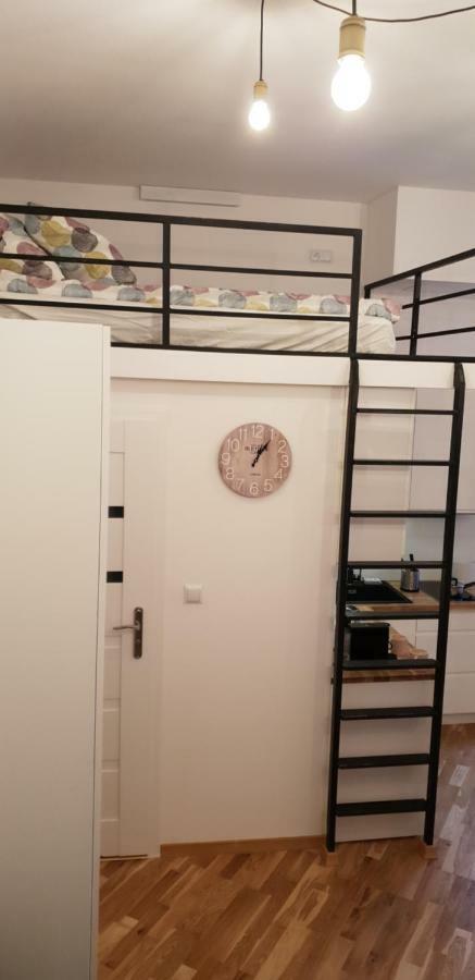 Apartment Lenartowicza クラクフ エクステリア 写真